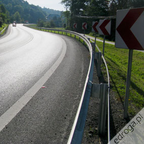 ZPP w sprawie zarządzania drogami