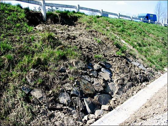 Fot. 9. Zsuw skarpy wykopu w m. Myślenice przy prawej jezdni drogi krajowej nr 7, widoczna u podstawy skarpy przypora kamienna (kwiecień 2007 r.).