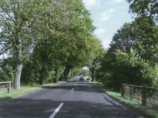 Fot. 3 a. Przykłady mankamentów - drzewa w bezpośrednim sąsiedztwie jezdni