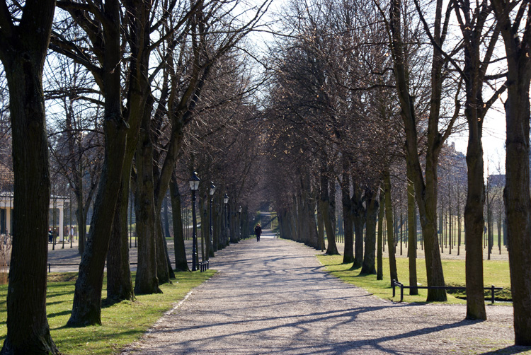 Aleja w parku przypałacowym w Schwerin – była planowana do wycięcia i zastąpienia młodymi sadzonkami, została jednak zachowana, gdyż uznano, że ma wysokie walory estetyczne.
